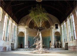 Shinji Turner-Yamamoto: Global Tree Project