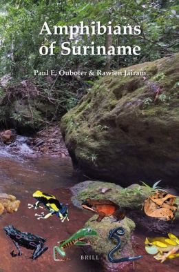 Amphibians of Suriname