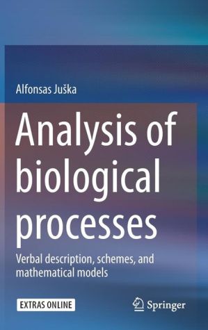 Analysis of biological processes: Verbal description, schemes, and mathematical models