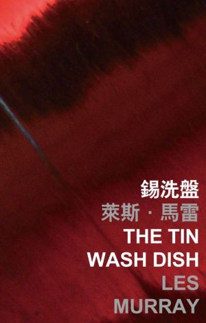 The Tin Wash Dish