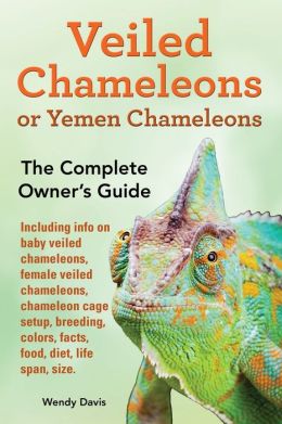 Veiled Chameleons or Yemen Chameleons as pets. info on baby veiled