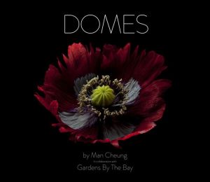 Domes: Flowers of Gardens by the Bay