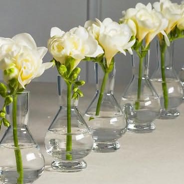 Palace Bud Vases Set of 6 in Clear