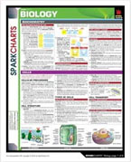 Spark Charts
